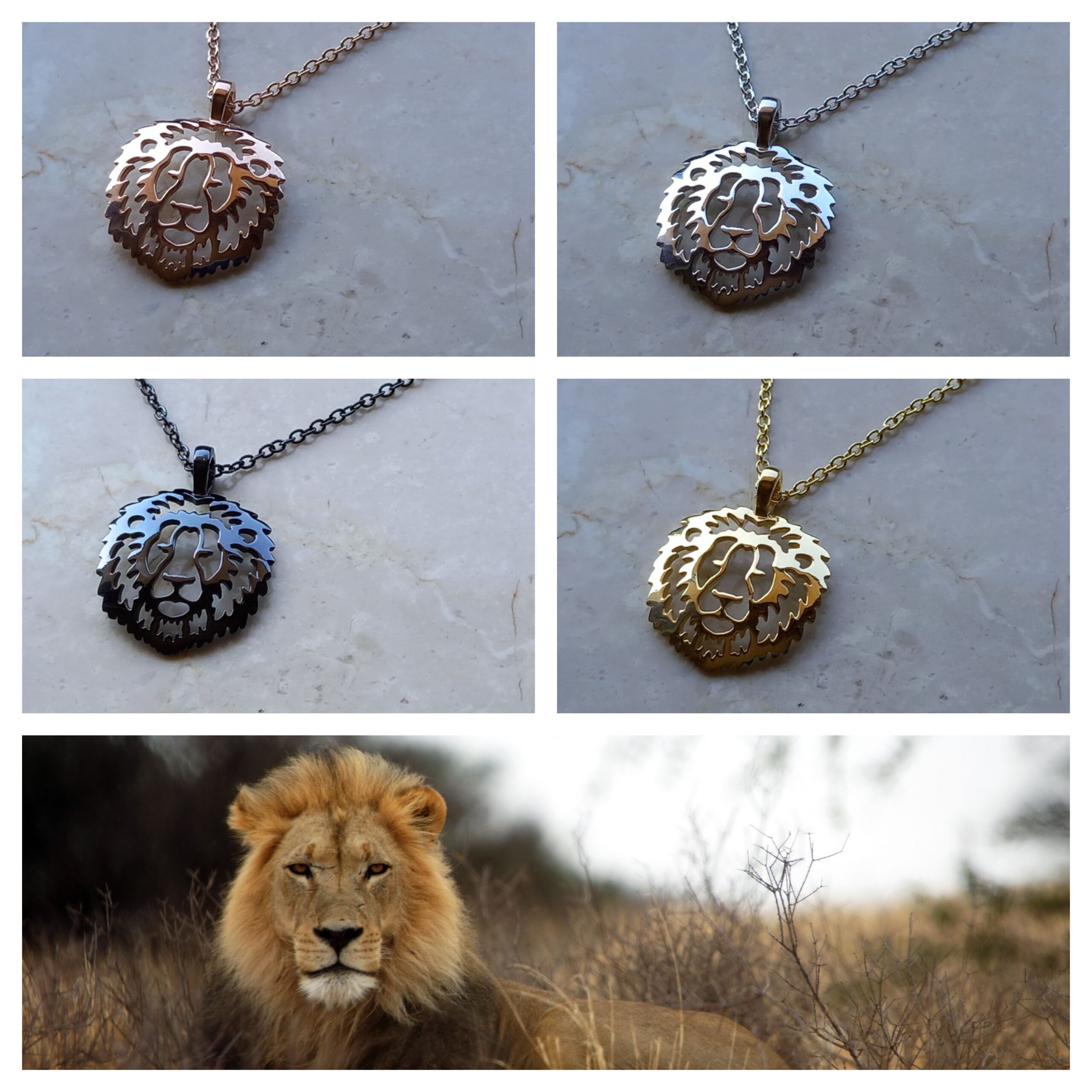 collane in argento 925 e ciondoli raffiguranti il leone in diverse varianti di colore